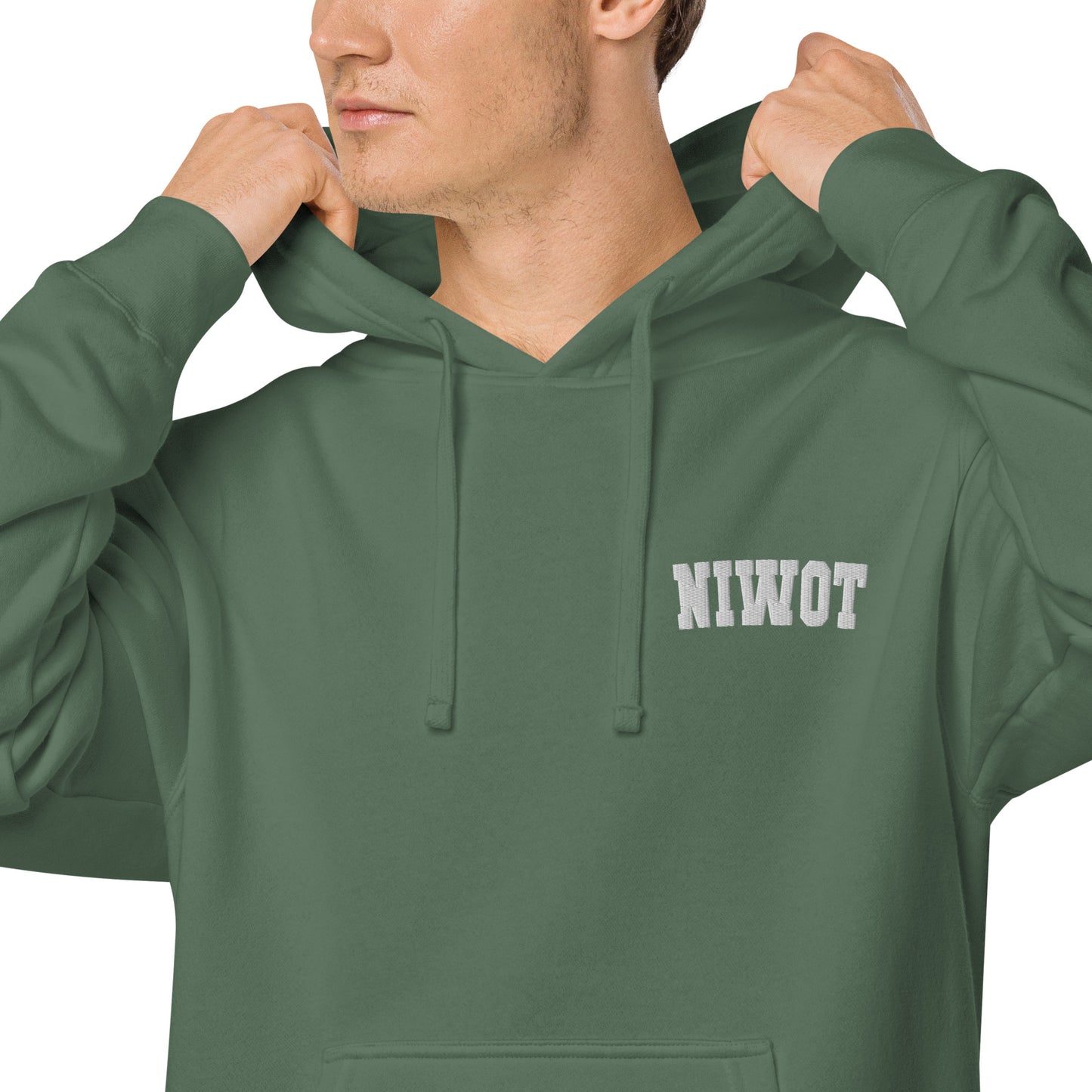 Work From Home Niwot Hoodie