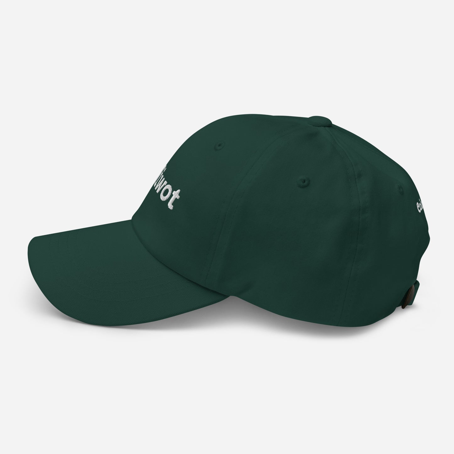 Embroidered Niwot Dat Hat in Spruce Green