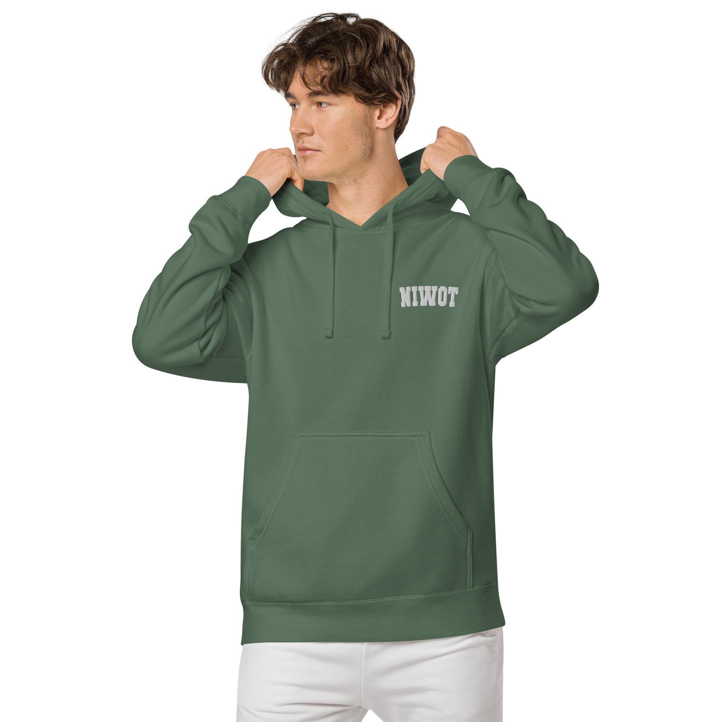 Work From Home Niwot Hoodie